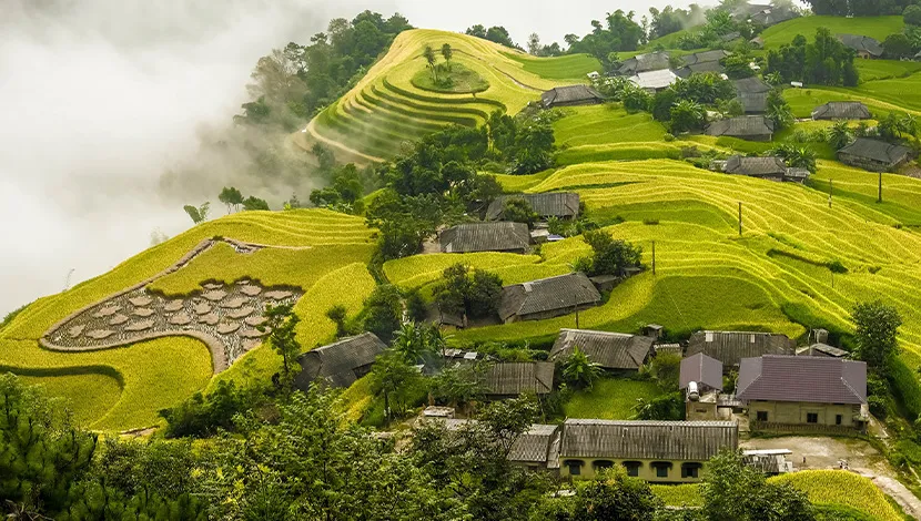 hoang-su-phi-rice-terraces